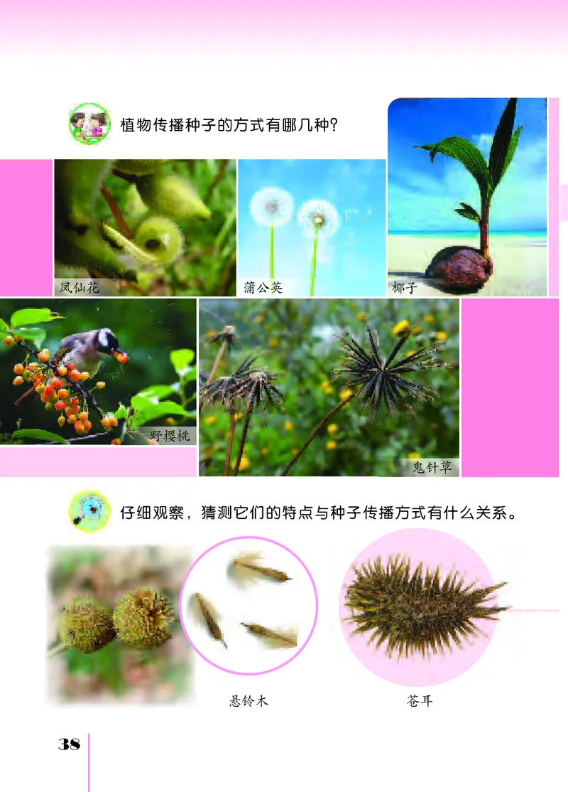 苏教版4年级科学下册高清教材_全部版本&bull;小学科学电子课本_苏教版小学科学电子课本