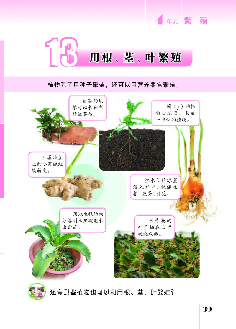 苏教版4年级科学下册高清教材_全部版本&bull;小学科学电子课本_苏教版小学科学电子课本