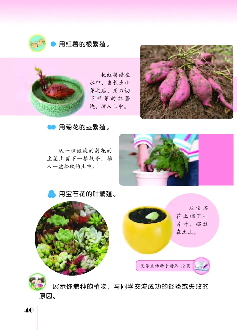 苏教版4年级科学下册高清教材_全部版本&bull;小学科学电子课本_苏教版小学科学电子课本