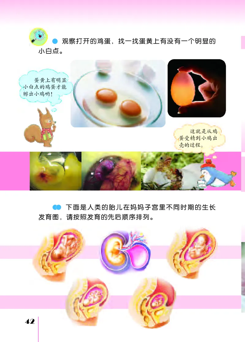 苏教版4年级科学下册高清教材_全部版本&bull;小学科学电子课本_苏教版小学科学电子课本