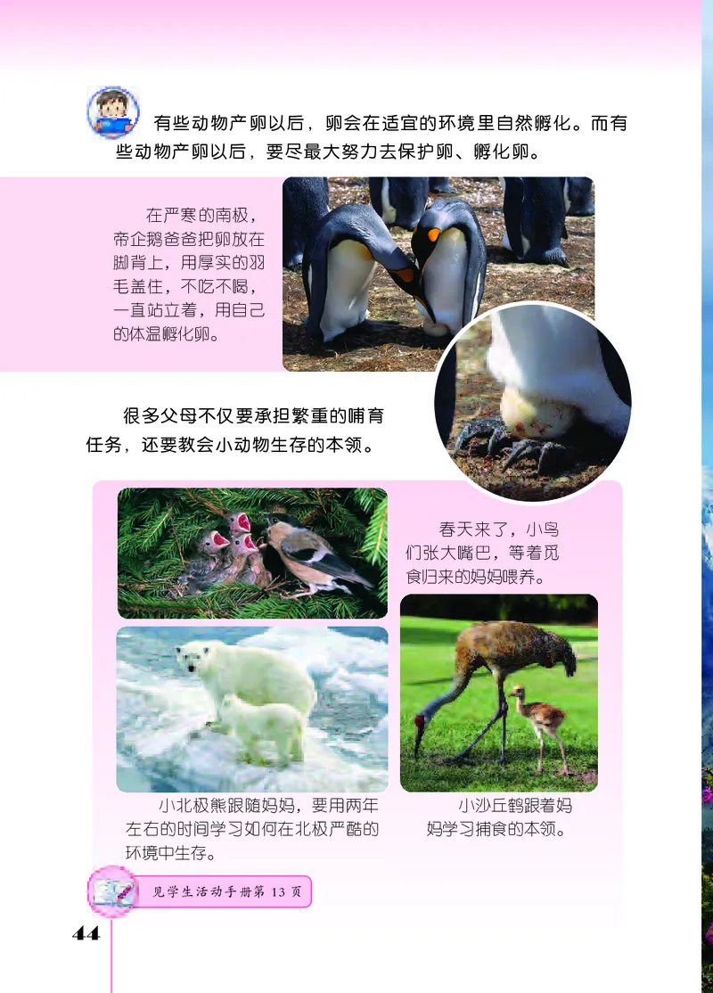 苏教版4年级科学下册高清教材_全部版本&bull;小学科学电子课本_苏教版小学科学电子课本