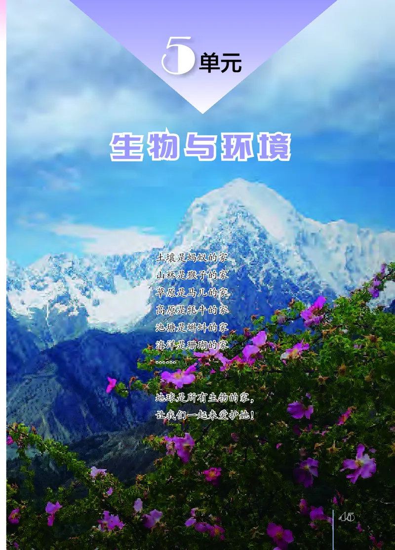 苏教版4年级科学下册高清教材_全部版本&bull;小学科学电子课本_苏教版小学科学电子课本