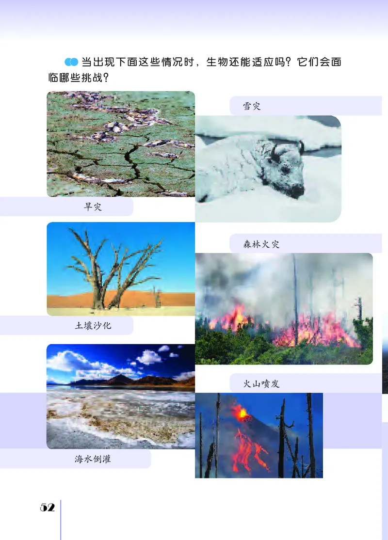 苏教版4年级科学下册高清教材_全部版本&bull;小学科学电子课本_苏教版小学科学电子课本
