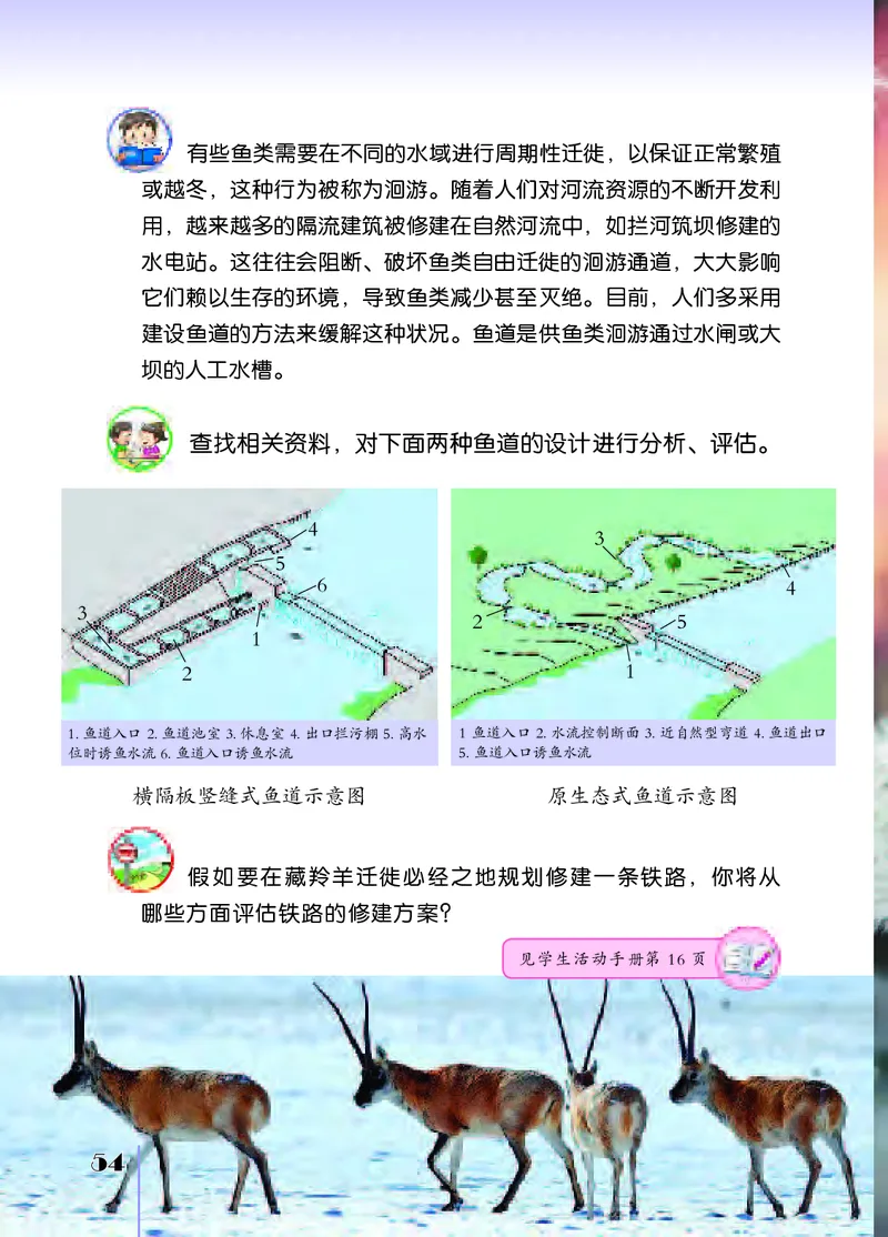 苏教版4年级科学下册高清教材_全部版本&bull;小学科学电子课本_苏教版小学科学电子课本