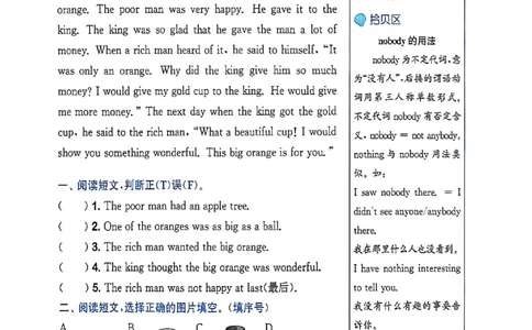 读写攻略_25秋《拔尖特训》沪教版六上