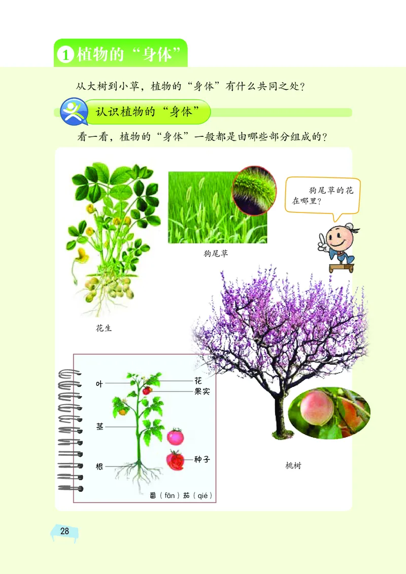 湘科版3年级科学下册高清教材_全部版本&bull;小学科学电子课本_湘科版小学科学电子课本