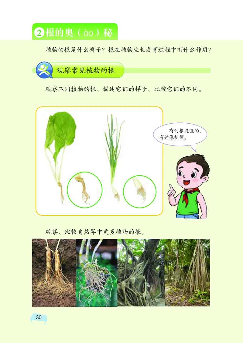湘科版3年级科学下册高清教材_全部版本&bull;小学科学电子课本_湘科版小学科学电子课本