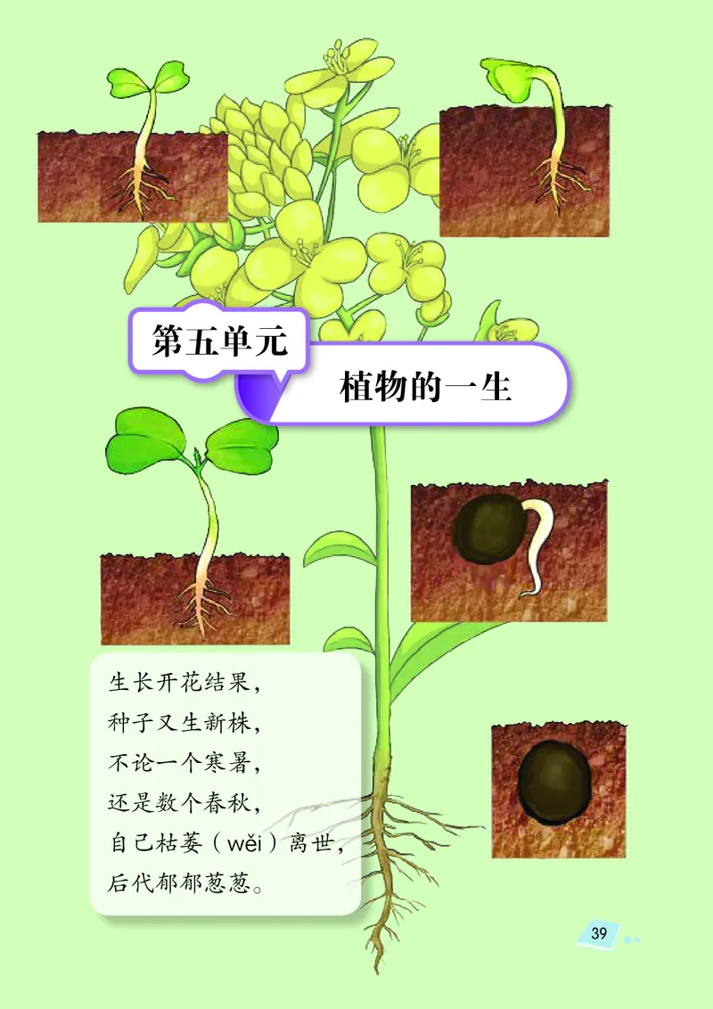 湘科版3年级科学下册高清教材_全部版本&bull;小学科学电子课本_湘科版小学科学电子课本