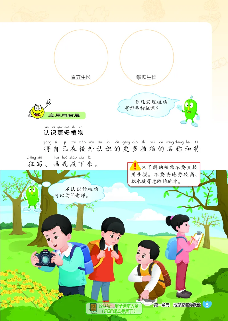 科学一下冀教版（2025春）_小学全网线上同款资料_2025春新增教材合集_小学科学（2025春新教材）