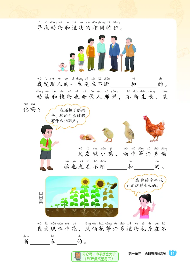 科学一下冀教版（2025春）_小学全网线上同款资料_2025春新增教材合集_小学科学（2025春新教材）