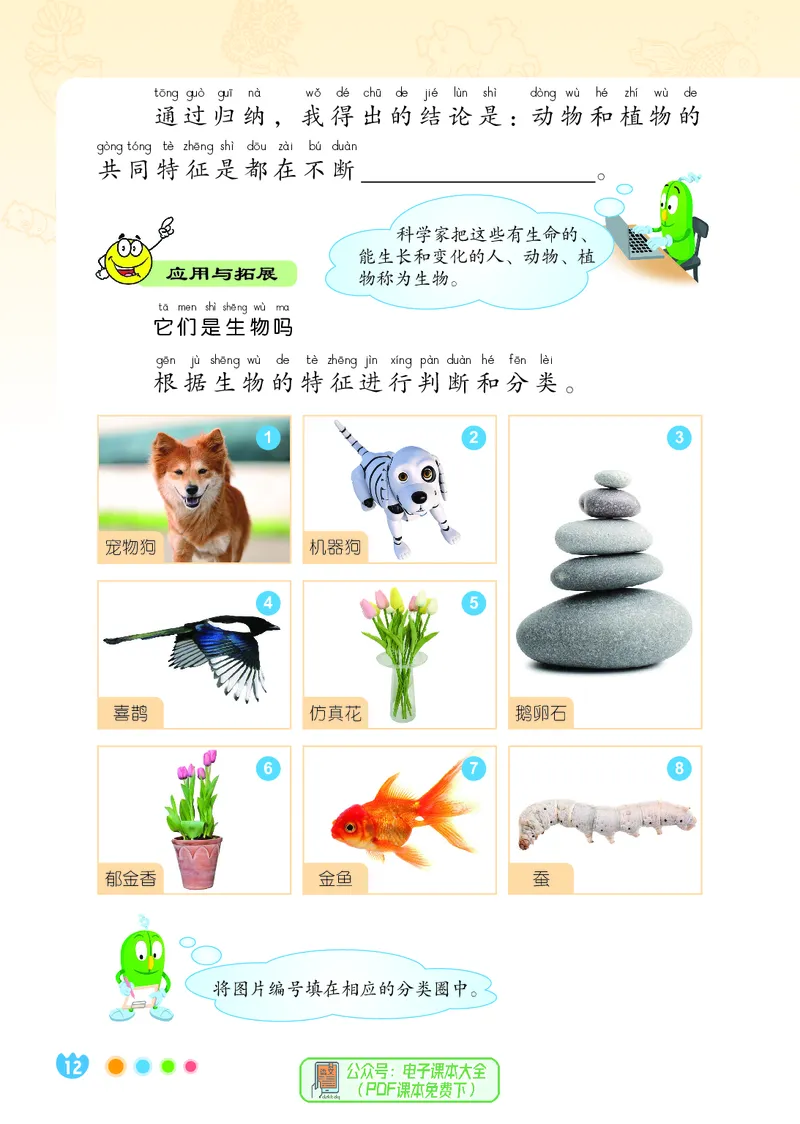 科学一下冀教版（2025春）_小学全网线上同款资料_2025春新增教材合集_小学科学（2025春新教材）