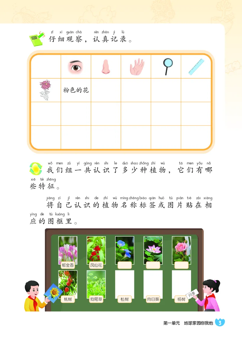 科学一下冀教版（2025春）_小学全网线上同款资料_2025春新增教材合集_小学科学（2025春新教材）