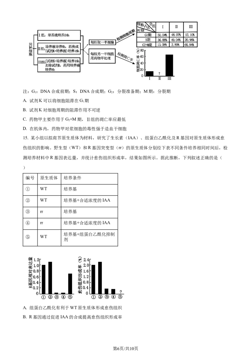 2023年高考生物试卷（重庆）（空白卷）_生物历年高考真题_新&middot;Word版2008-2025&middot;高考生物真题_生物（按年份分类）2008-2025_2023&middot;高考生物真题
