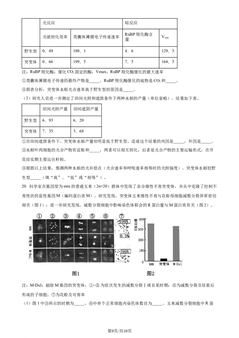 2023年高考生物试卷（重庆）（空白卷）_生物历年高考真题_新&middot;Word版2008-2025&middot;高考生物真题_生物（按年份分类）2008-2025_2023&middot;高考生物真题