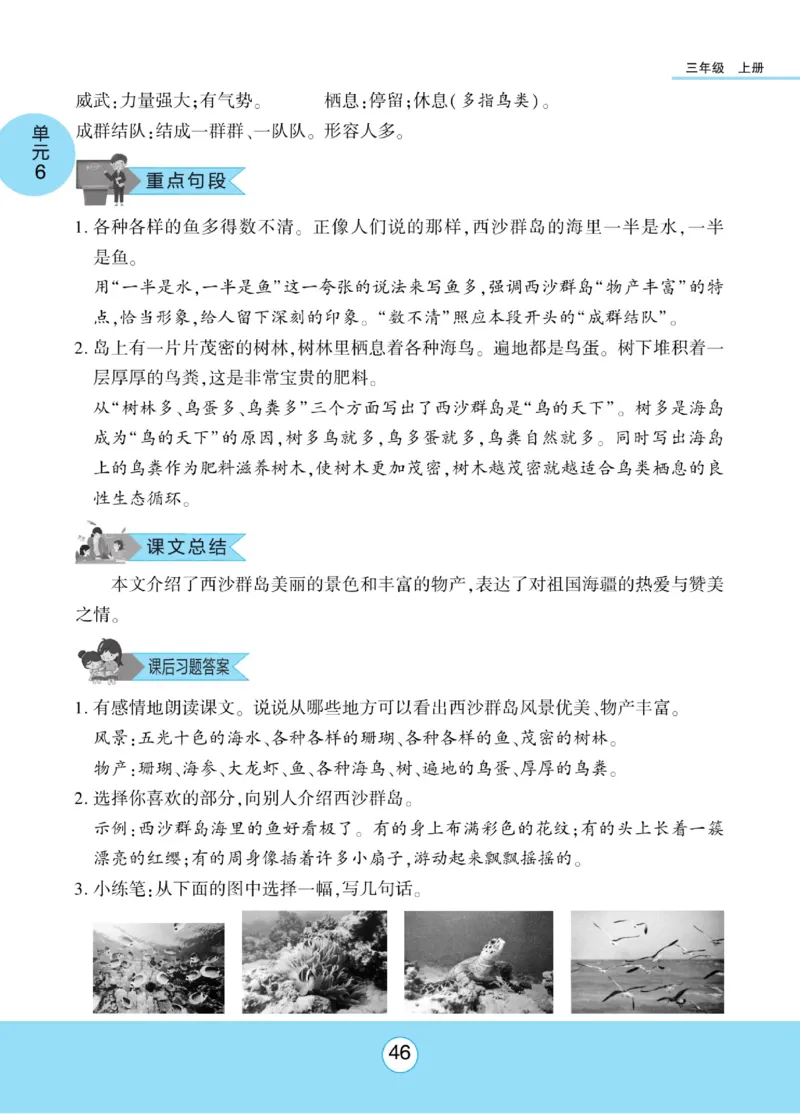 《优佳好》课本知识完全手册-23秋语文3年级上册（RJ）_三年级上下册资料_小学三年级学习资料-25年更新版_3-01、小学三年级语文上册_3-1-2、练习题、作业、试题、试卷_电子册类