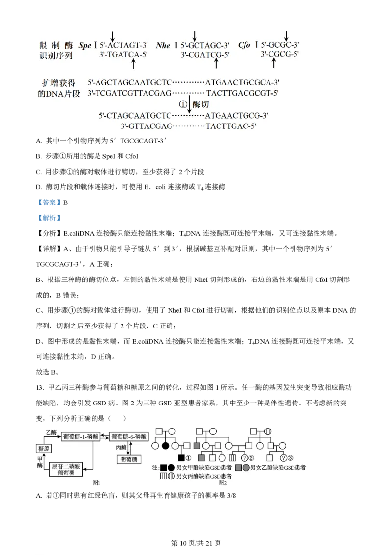 2023年高考生物试卷（重庆）（解析卷）_生物历年高考真题_新&middot;PDF版2008-2025&middot;高考生物真题_生物（按试卷类型分类）2008-2025_自主命题卷&middot;生物（2008-2025）