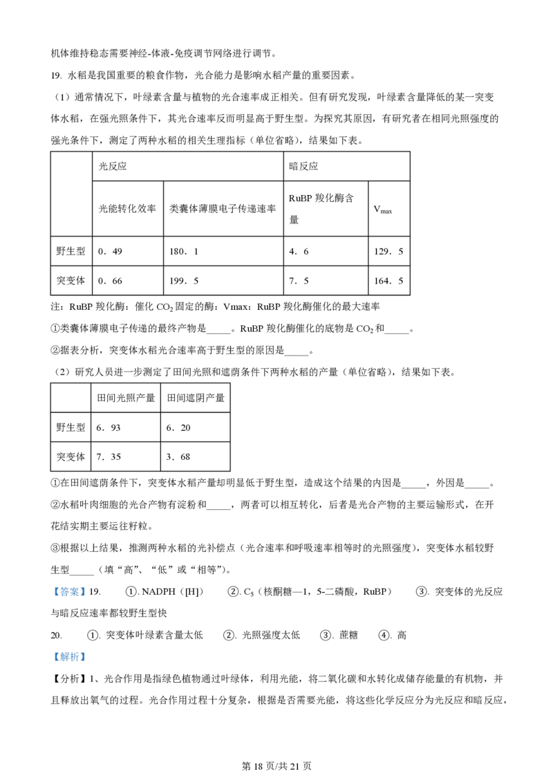 2023年高考生物试卷（重庆）（解析卷）_生物历年高考真题_新&middot;PDF版2008-2025&middot;高考生物真题_生物（按试卷类型分类）2008-2025_自主命题卷&middot;生物（2008-2025）