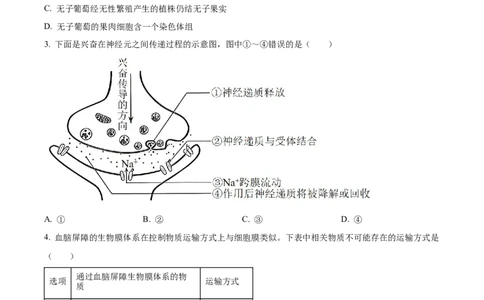 2023年高考生物试卷（辽宁）（空白卷）_生物历年高考真题_新&middot;Word版2008-2025&middot;高考生物真题_生物（按年份分类）2008-2025_2023&middot;高考生物真题