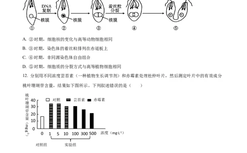 2023年高考生物试卷（辽宁）（空白卷）_生物历年高考真题_新&middot;Word版2008-2025&middot;高考生物真题_生物（按年份分类）2008-2025_2023&middot;高考生物真题
