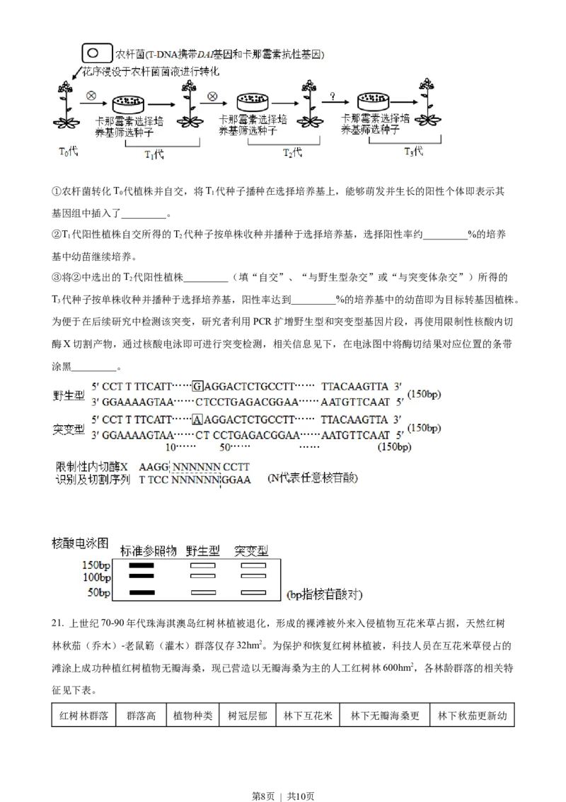 2023年高考生物试卷（广东）（空白卷）_生物历年高考真题_新&middot;Word版2008-2025&middot;高考生物真题_生物（按试卷类型分类）2008-2025_自主命题卷&middot;生物（2008-2025）