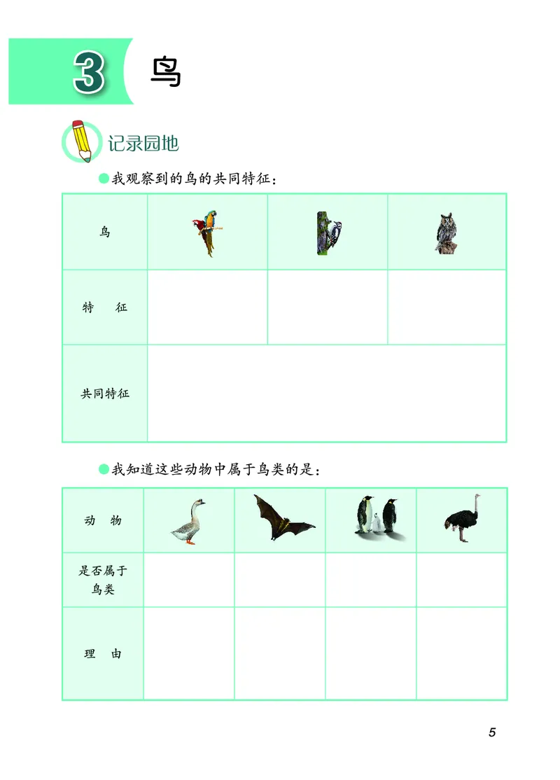 青岛版4年级科学上册活动手册_全部版本&bull;小学科学电子课本_青岛版63制小学科学课本