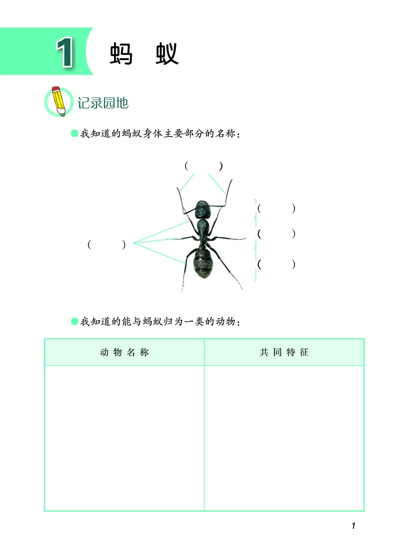 青岛版4年级科学上册活动手册_全部版本&bull;小学科学电子课本_青岛版63制小学科学课本