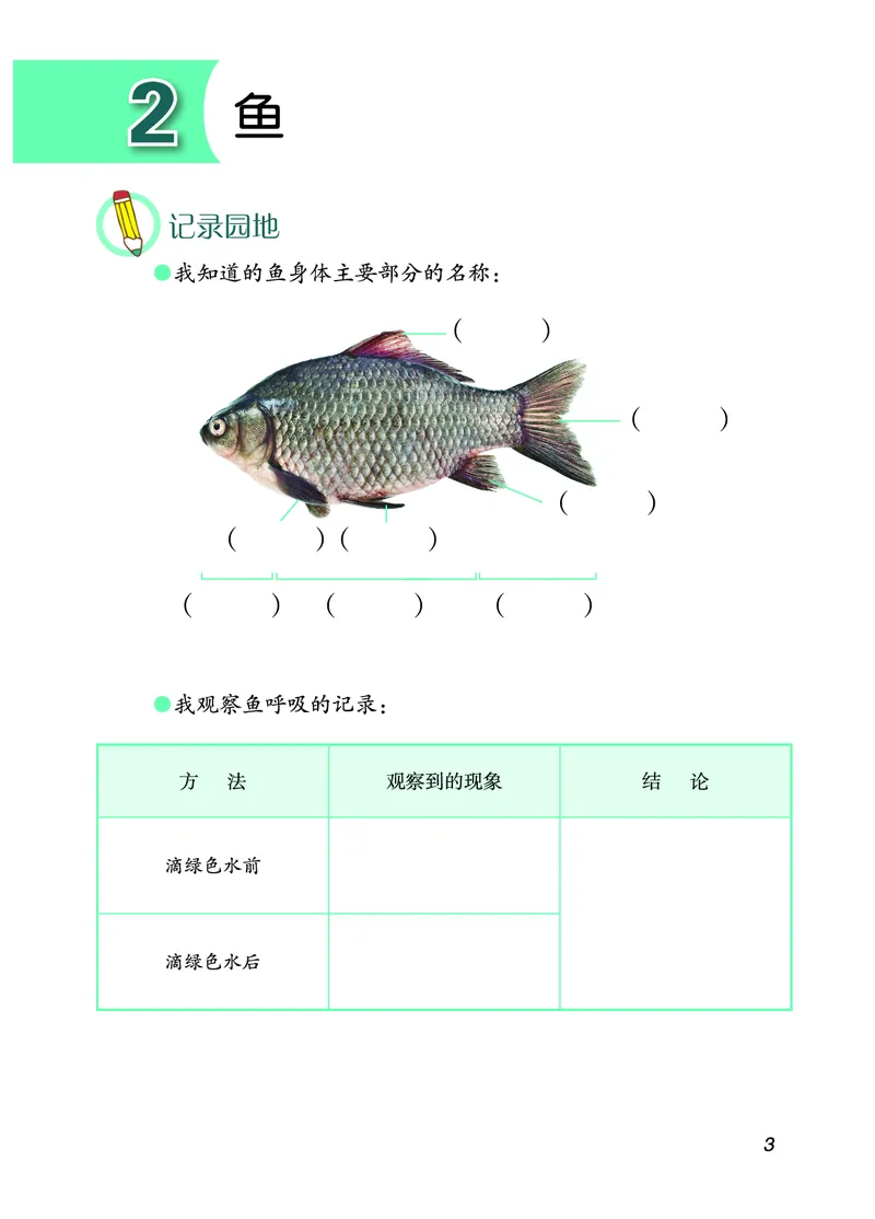 青岛版4年级科学上册活动手册_全部版本&bull;小学科学电子课本_青岛版63制小学科学课本
