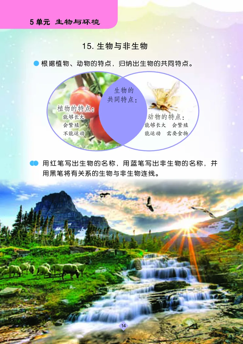 苏教版4年级科学下册活动手册_全部版本&bull;小学科学电子课本_苏教版小学科学电子课本