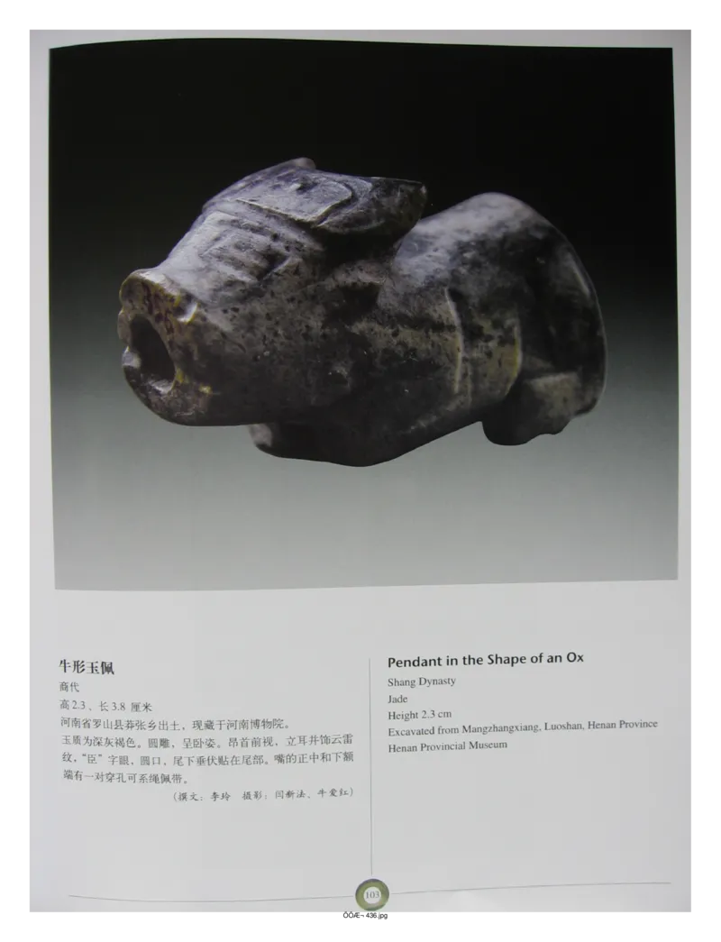 中国出土玉器全集(5)河南_部分2_X018-玉石珠宝鉴定教程最新合集_5、玉石鉴定专题全套课程_玉石电子书_中国出土玉石全集