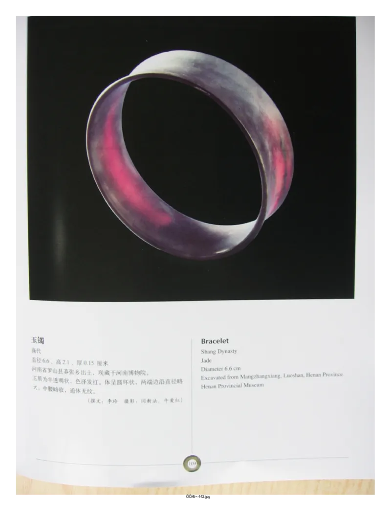 中国出土玉器全集(5)河南_部分2_X018-玉石珠宝鉴定教程最新合集_5、玉石鉴定专题全套课程_玉石电子书_中国出土玉石全集