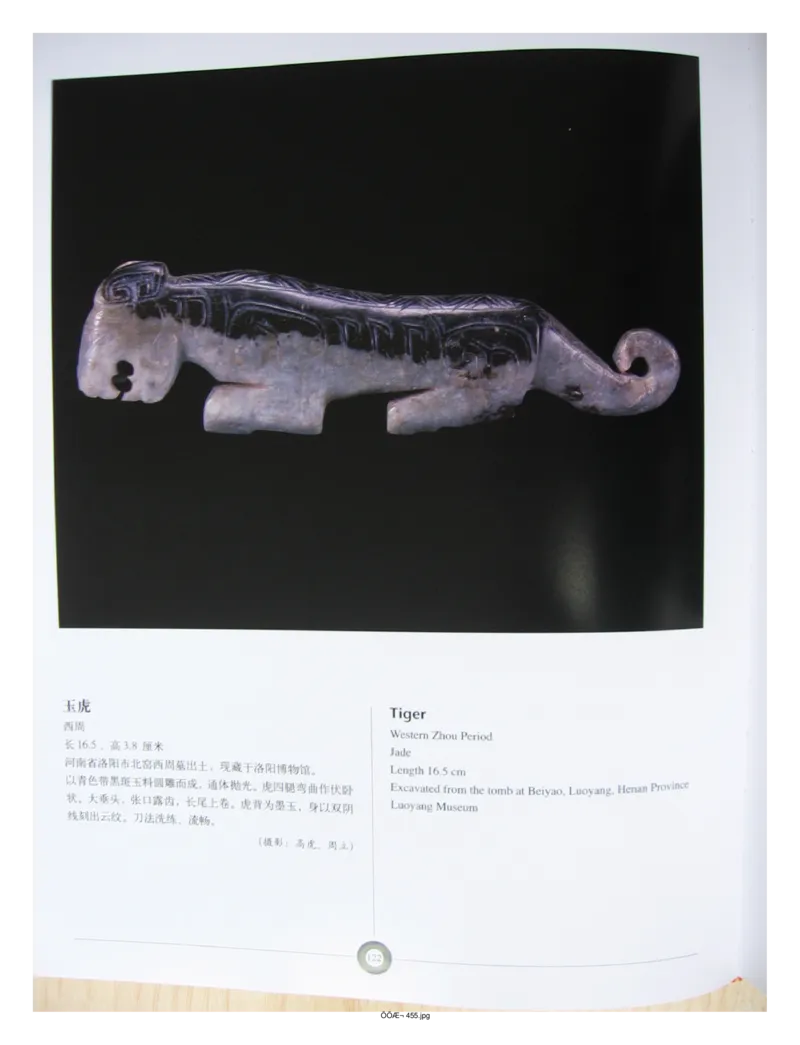 中国出土玉器全集(5)河南_部分2_X018-玉石珠宝鉴定教程最新合集_5、玉石鉴定专题全套课程_玉石电子书_中国出土玉石全集