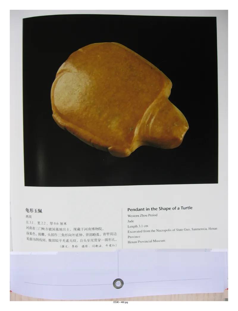 中国出土玉器全集(5)河南_部分2_X018-玉石珠宝鉴定教程最新合集_5、玉石鉴定专题全套课程_玉石电子书_中国出土玉石全集