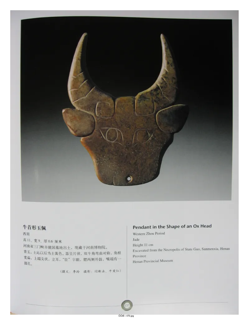 中国出土玉器全集(5)河南_部分2_X018-玉石珠宝鉴定教程最新合集_5、玉石鉴定专题全套课程_玉石电子书_中国出土玉石全集