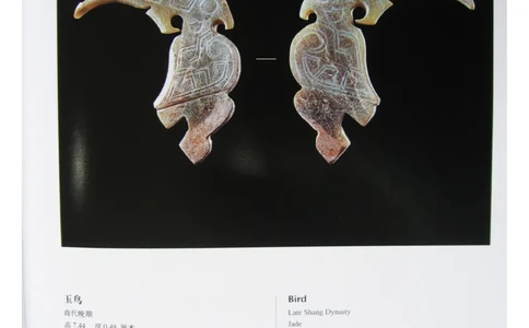 中国出土玉器全集(5)河南_部分2_X018-玉石珠宝鉴定教程最新合集_5、玉石鉴定专题全套课程_玉石电子书_中国出土玉石全集