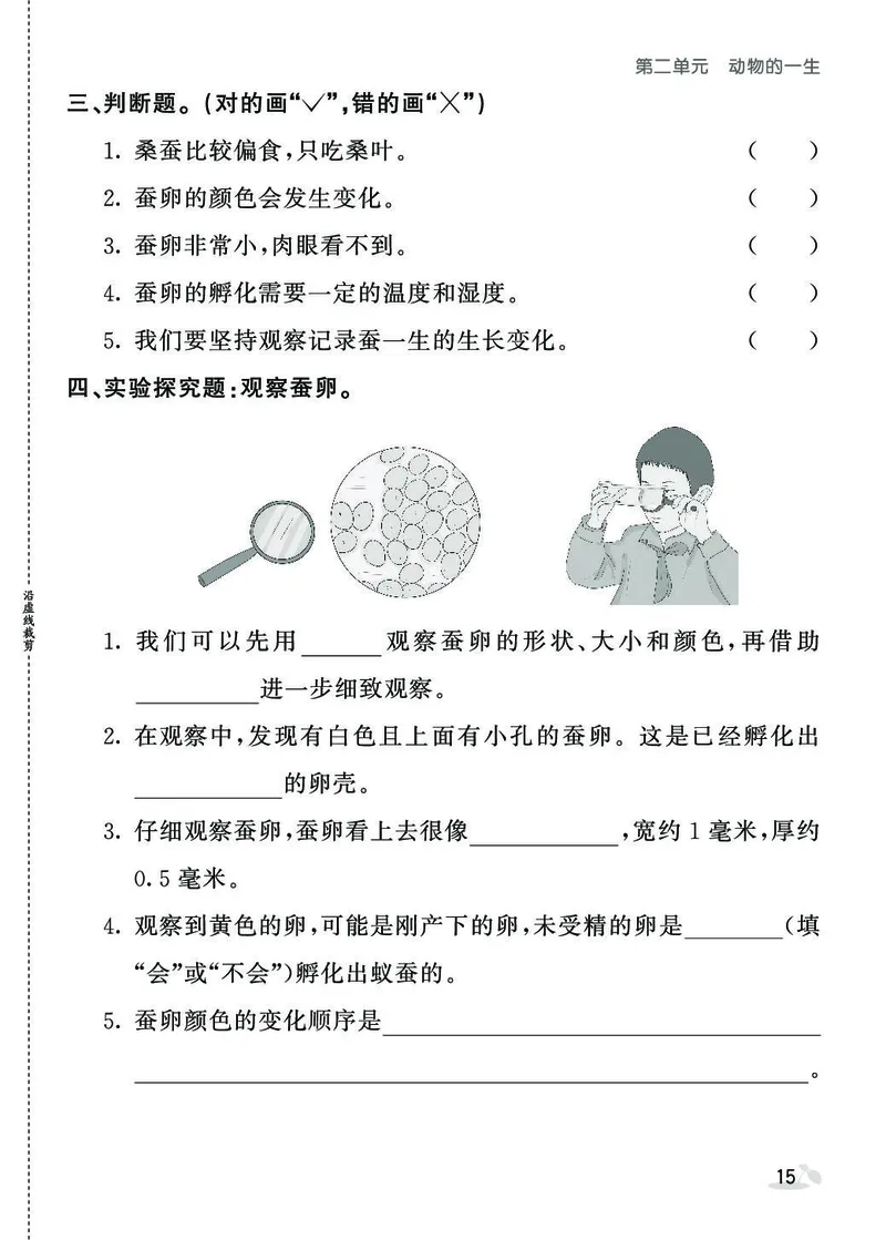 《七彩课堂》同步练习-科学3年级下册（教科版）_三年级上下册资料_小学三年级学习资料-25年更新版_3-10、小学三年级科学下册_教科版_电子册类