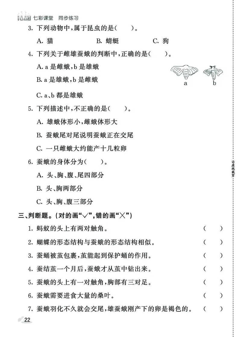 《七彩课堂》同步练习-科学3年级下册（教科版）_三年级上下册资料_小学三年级学习资料-25年更新版_3-10、小学三年级科学下册_教科版_电子册类