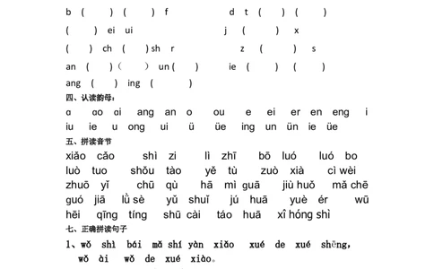 拼音验收模拟卷墨熠教育官方旗舰店_一年级语文上册（统编版）_老课标资料_教学视频_第一套_009-试题试卷word版可下载打印_专项复习