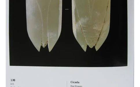 中国出土玉器全集(6)+安徽_部分3_X018-玉石珠宝鉴定教程最新合集_5、玉石鉴定专题全套课程_玉石电子书_中国出土玉石全集