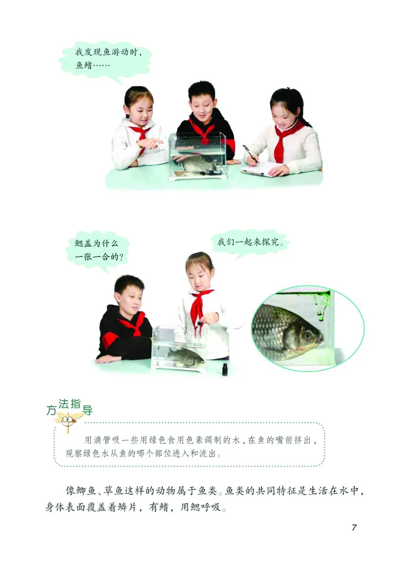 青岛版4年级科学上册高清教材_全部版本&bull;小学科学电子课本_青岛版63制小学科学课本