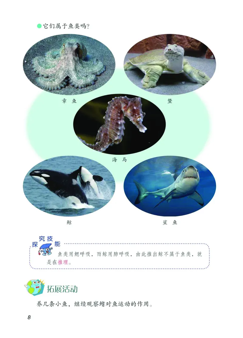 青岛版4年级科学上册高清教材_全部版本&bull;小学科学电子课本_青岛版63制小学科学课本