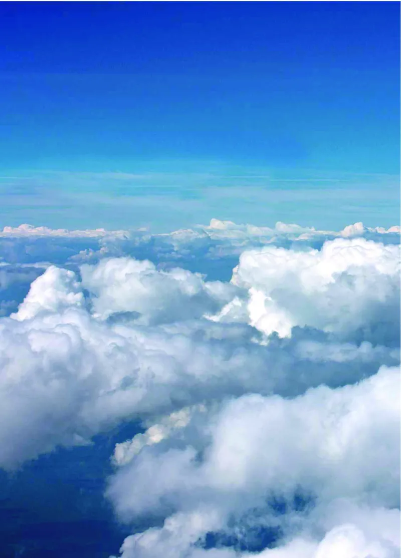 青岛版4年级科学上册高清教材_全部版本&bull;小学科学电子课本_青岛版63制小学科学课本