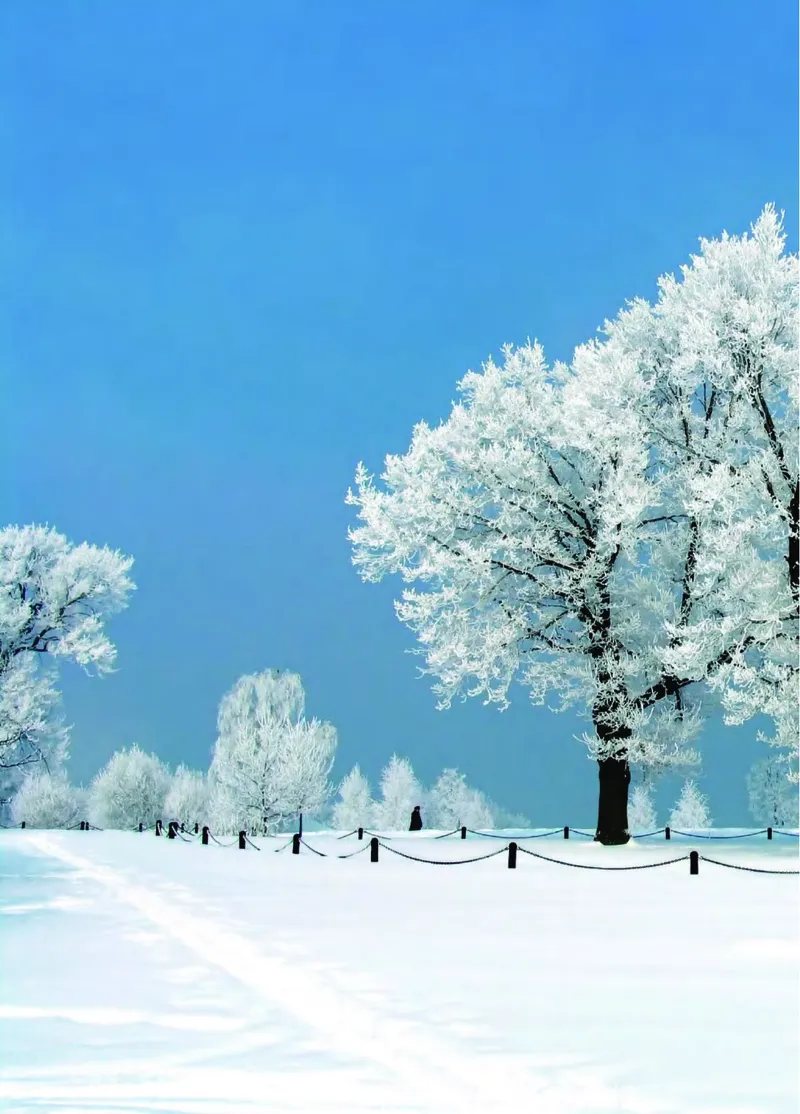 青岛版4年级科学上册高清教材_全部版本&bull;小学科学电子课本_青岛版63制小学科学课本