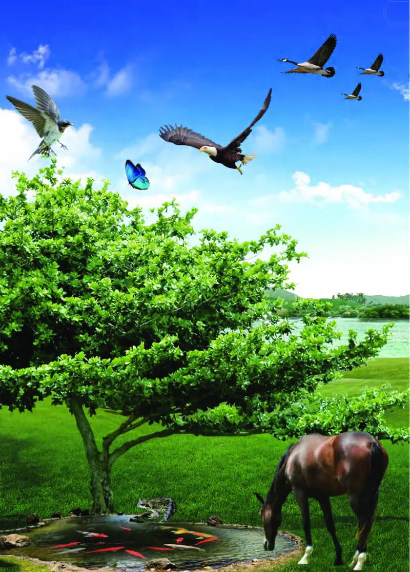 青岛版4年级科学上册高清教材_全部版本&bull;小学科学电子课本_青岛版63制小学科学课本