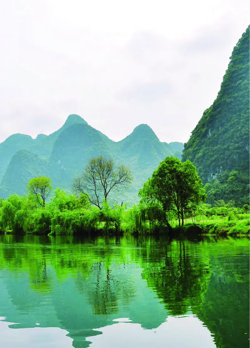 青岛版4年级科学上册高清教材_全部版本&bull;小学科学电子课本_青岛版63制小学科学课本