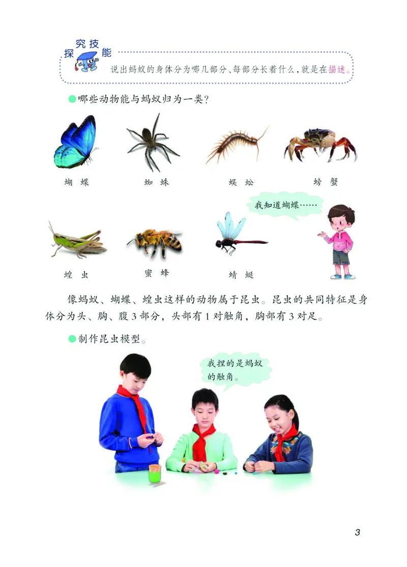 青岛版4年级科学上册高清教材_全部版本&bull;小学科学电子课本_青岛版63制小学科学课本