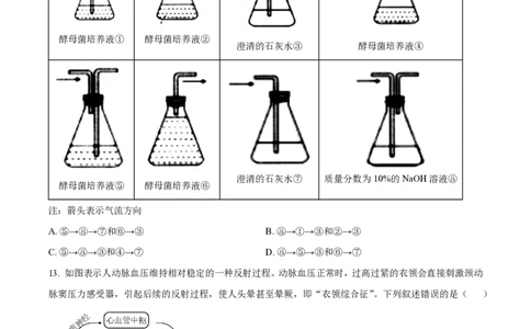 2022年高考生物试卷（重庆）（空白卷）_生物历年高考真题_新&middot;PDF版2008-2025&middot;高考生物真题_生物（按试卷类型分类）2008-2025_自主命题卷&middot;生物（2008-2025）