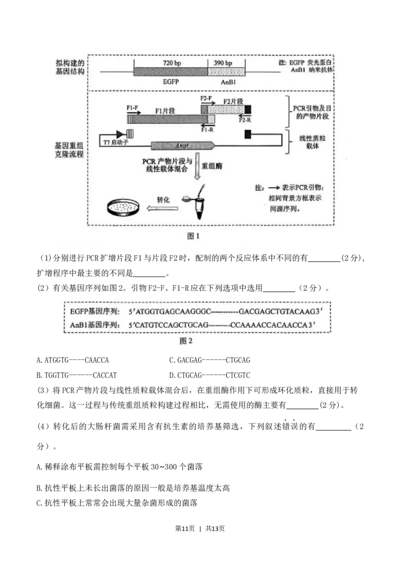 2023年高考生物试卷（江苏）（空白卷）_生物历年高考真题_新&middot;Word版2008-2025&middot;高考生物真题_生物（按省份分类）2008-2025_2008-2025&middot;（江苏）生物高考真题