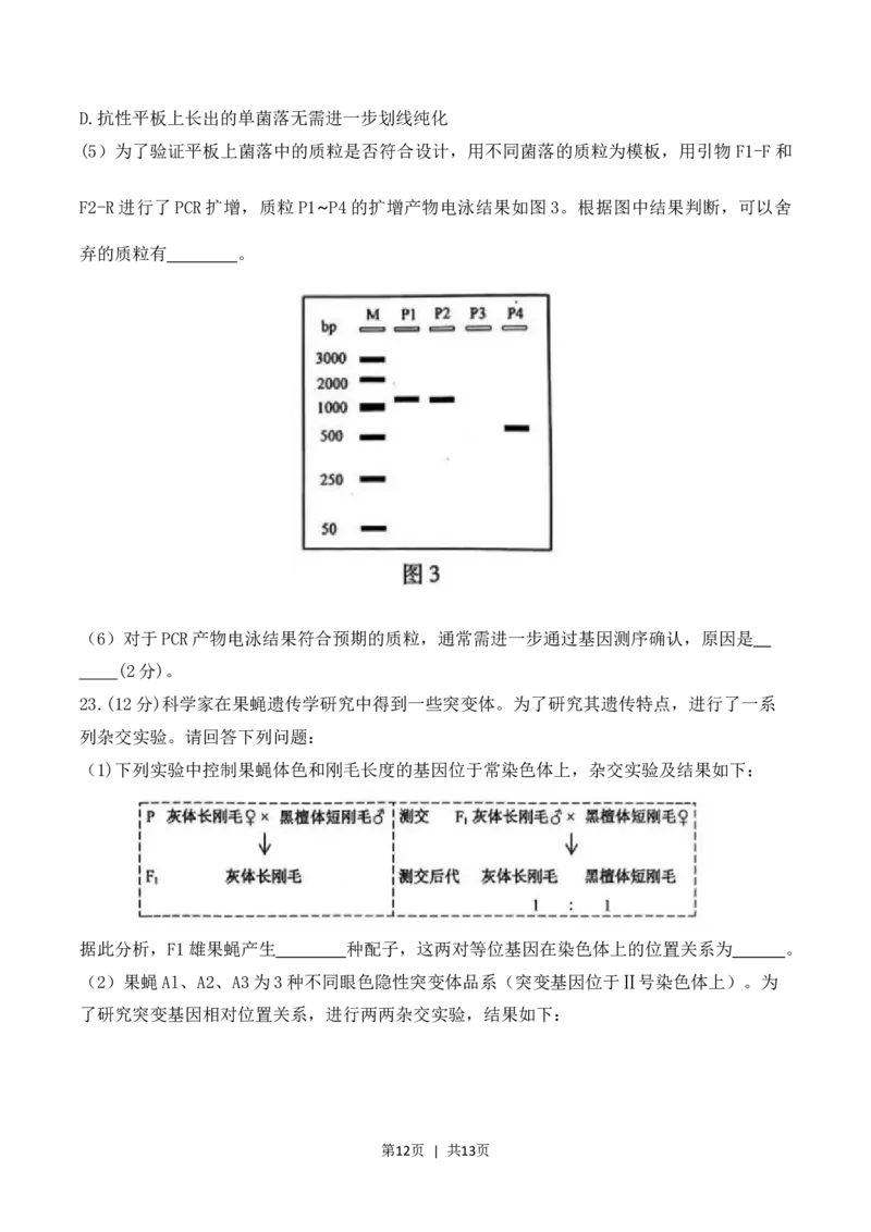 2023年高考生物试卷（江苏）（空白卷）_生物历年高考真题_新&middot;Word版2008-2025&middot;高考生物真题_生物（按省份分类）2008-2025_2008-2025&middot;（江苏）生物高考真题