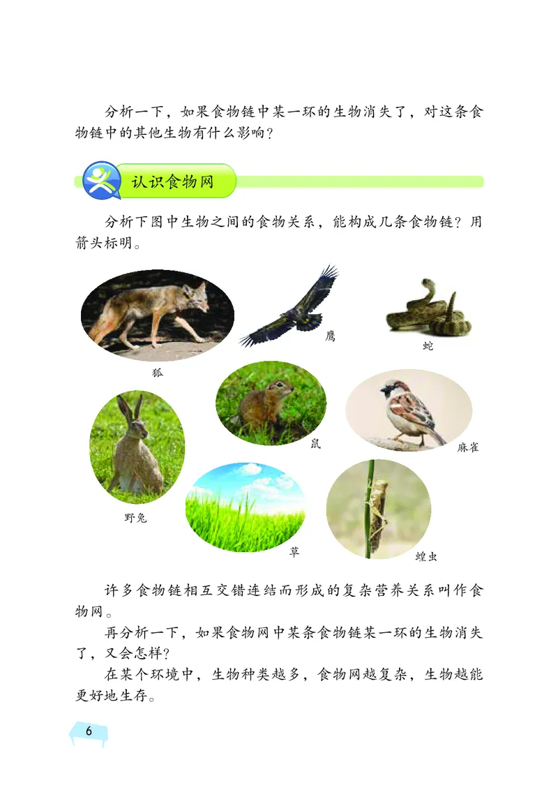 湘科版6年级科学上册高清教材_全部版本&bull;小学科学电子课本_湘科版小学科学电子课本