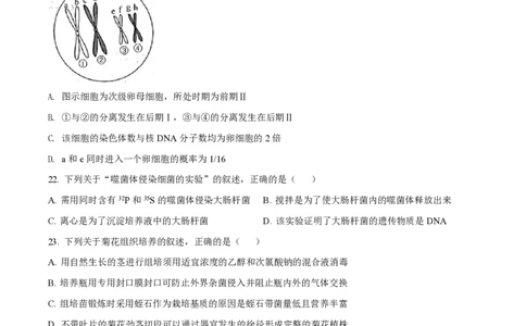 2022年高考生物试卷（浙江）（6月）（空白卷）_生物历年高考真题_新&middot;PDF版2008-2025&middot;高考生物真题_生物（按省份分类）2008-2025_2008-2025&middot;（浙江）生物高考真题
